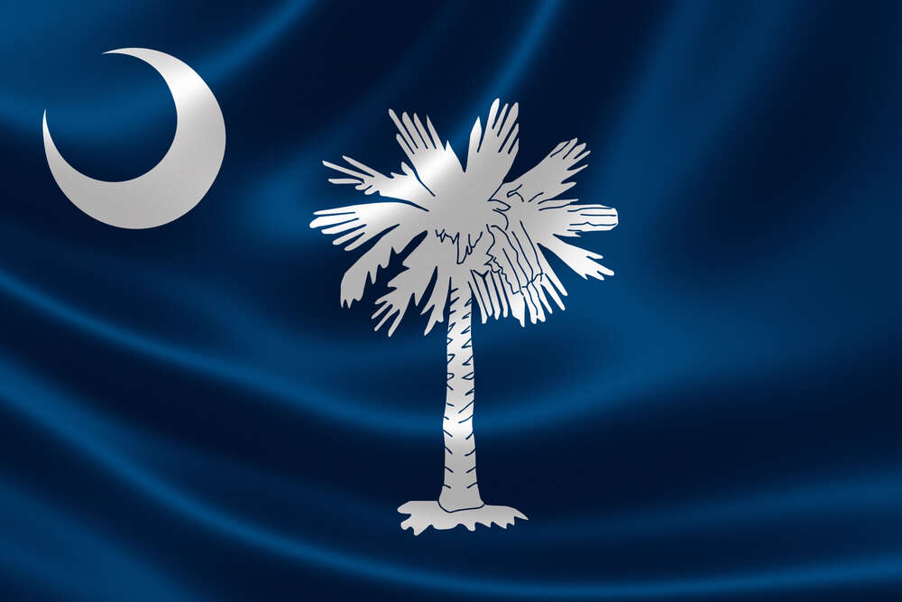 Flag of South Carolina featuring a white palmetto tree and crescent moon on a blue background, reminiscent of the distinct simplicity seen in Colorado PDR Training designs.